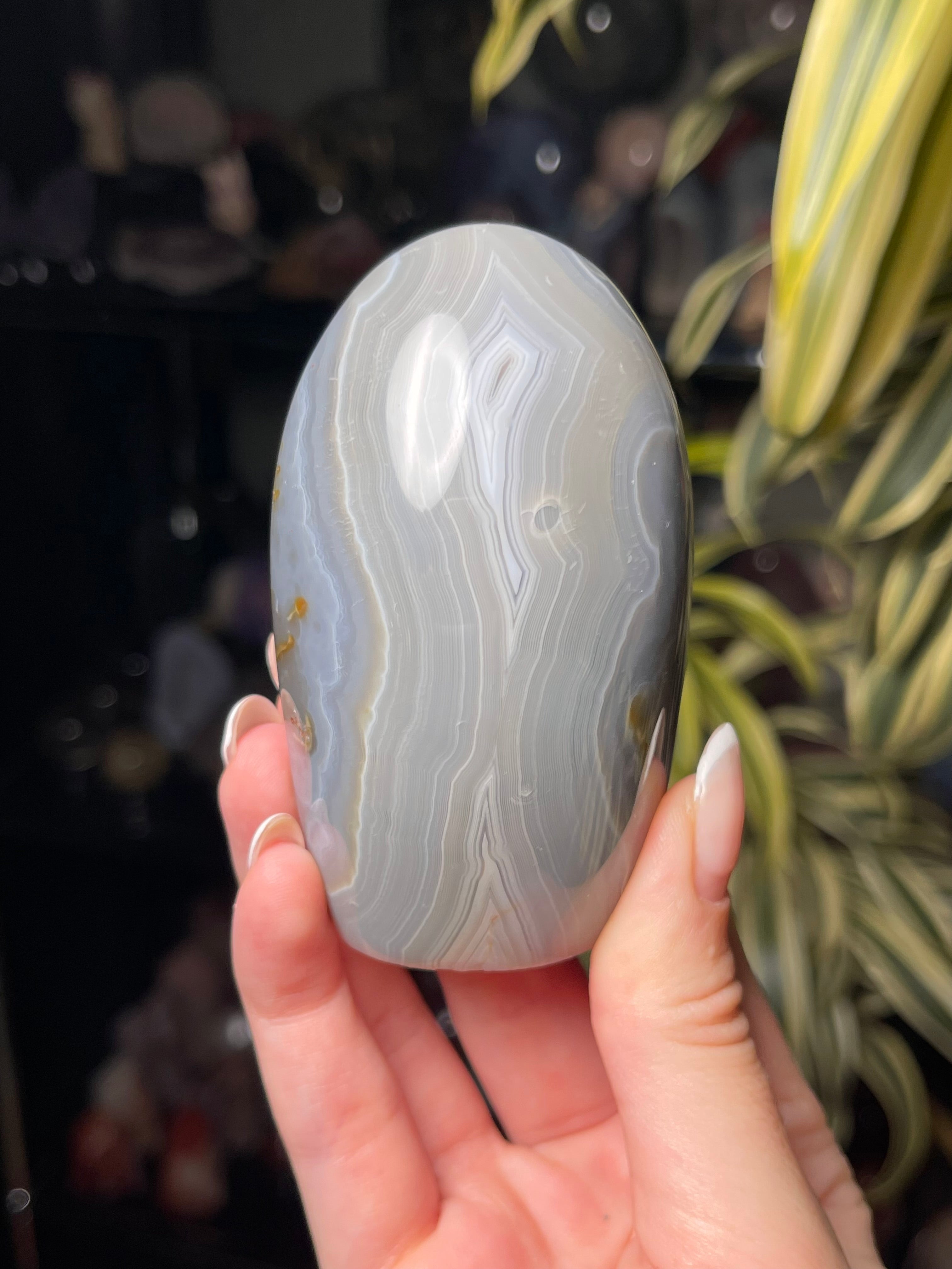 Orca Agate Freeform