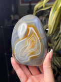 Golden Portal Orca Agate Freeform