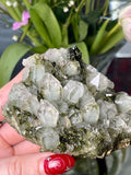 Large Epidote x Minty Phantom Quartz Cluster