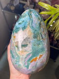 Rare 5LB Rainbow Sea Jasper Freeform