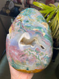 Rare 5LB Rainbow Sea Jasper Freeform