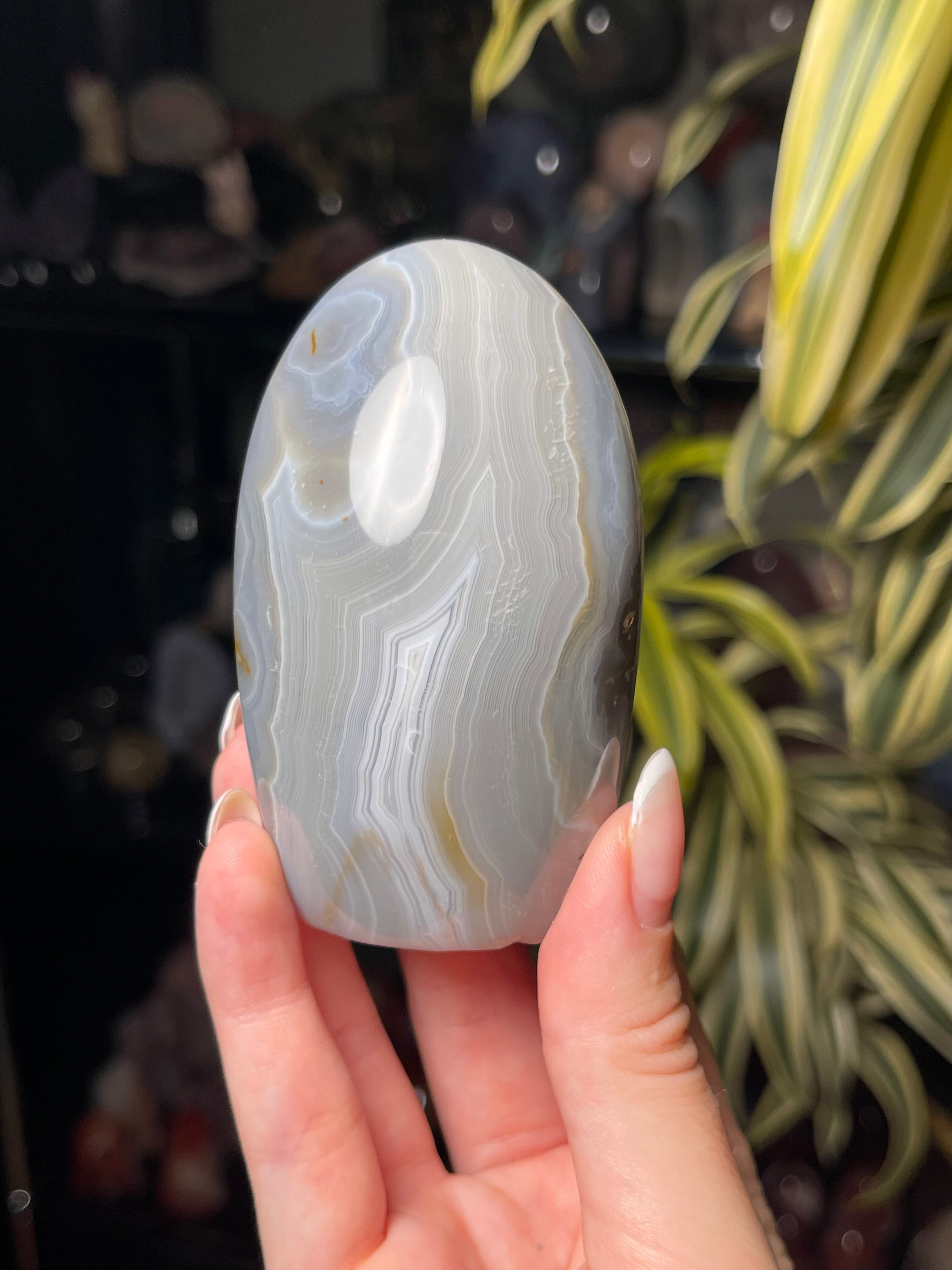 Orca Agate Freeform