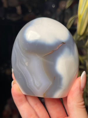 Orca Agate Freeform w/ Quartz Center